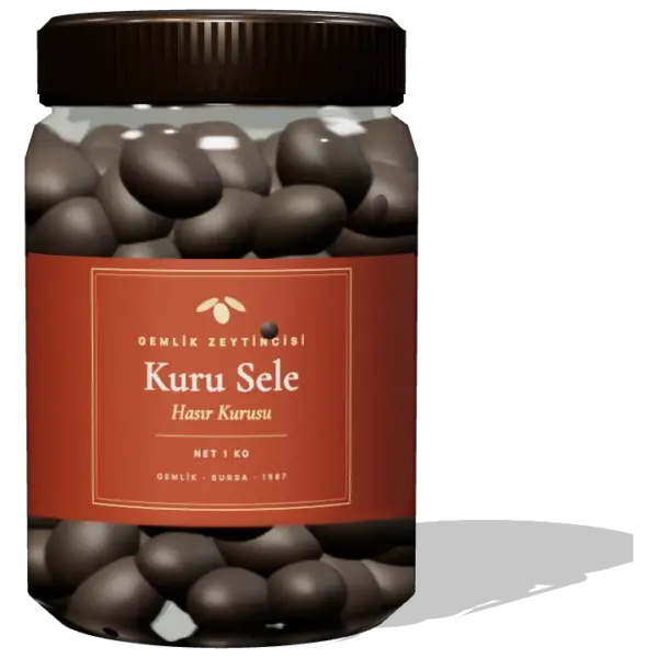 Kuru Sele Zeytin